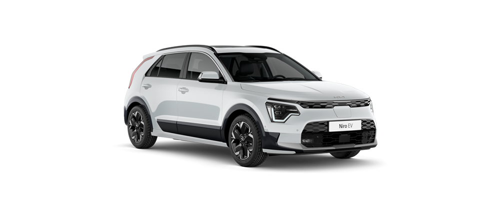 Snow pearl beyaz (SWP)